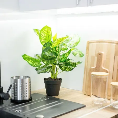 17b Blue Marine Basen Brodziki Plac Zabaw The Of Przy Plazy Poddąbie