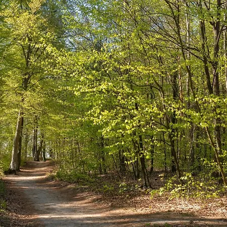 17b Blue Marine Basen Brodziki Plac Zabaw The Of Przy Plazy * Poddąbie