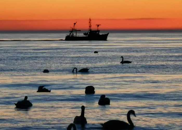 17b Blue Marine Basen Brodziki Plac Zabaw The Of Przy Plazy * Poddąbie