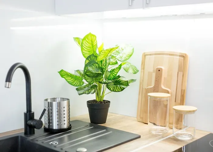 17b Blue Marine Basen Brodziki Plac Zabaw The Of Przy Plazy Poddąbie