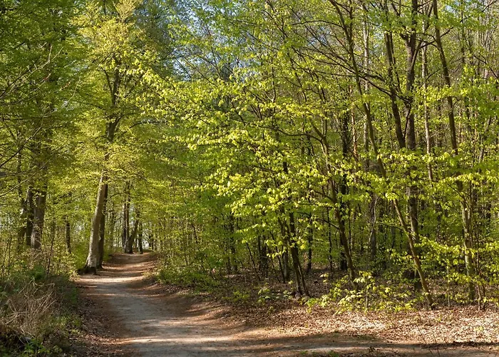 17b Blue Marine Basen Brodziki Plac Zabaw The Of Przy Plazy * Poddąbie