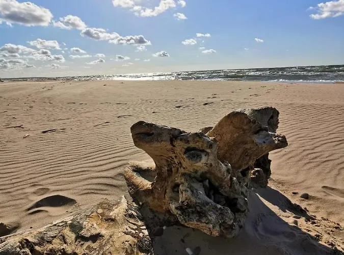 Daire 17b Blue Marine Basen Brodziki Plac Zabaw The Of Przy Plazy